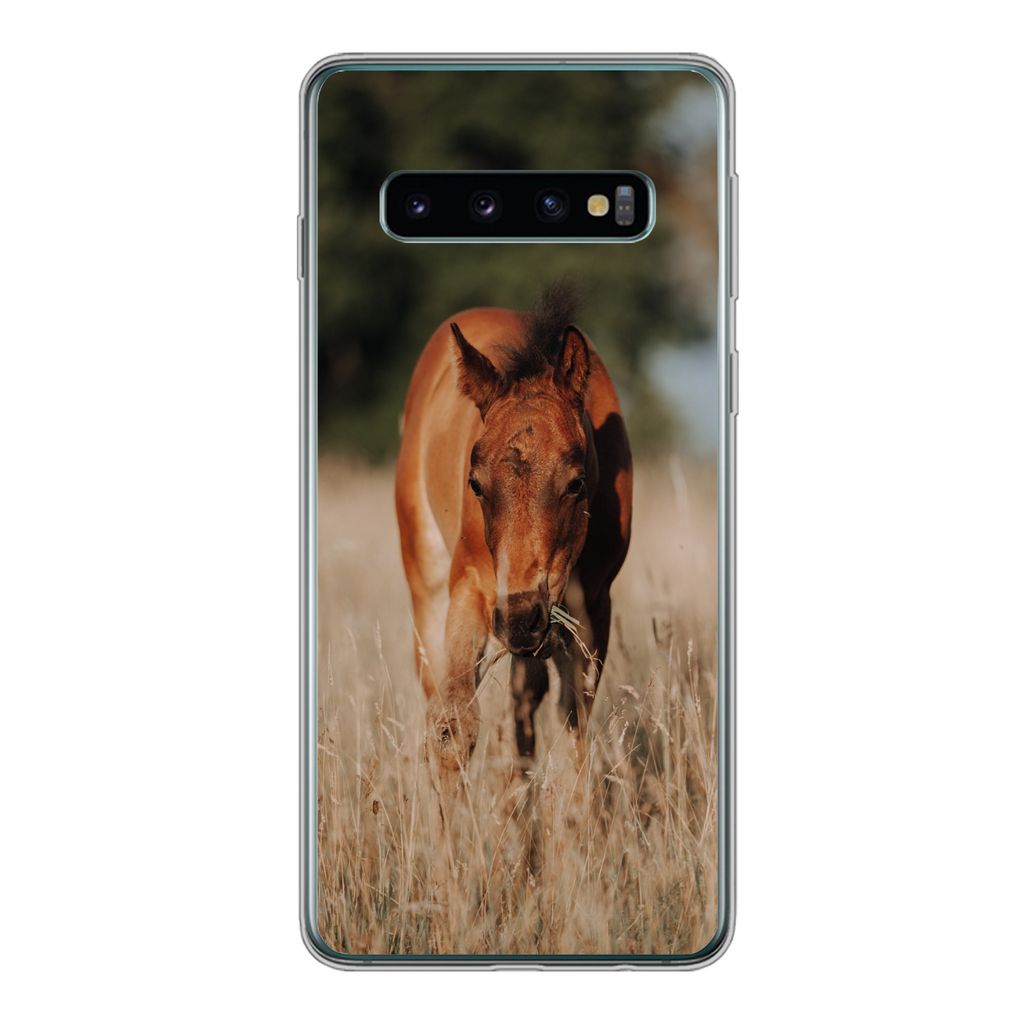 MuchoWow Handyhülle Schutzhülle Hülle für Samsung Galaxy S10 Pferd - Sonne - Landschaft Silikon Softcase Handy Hülle - Handytasche