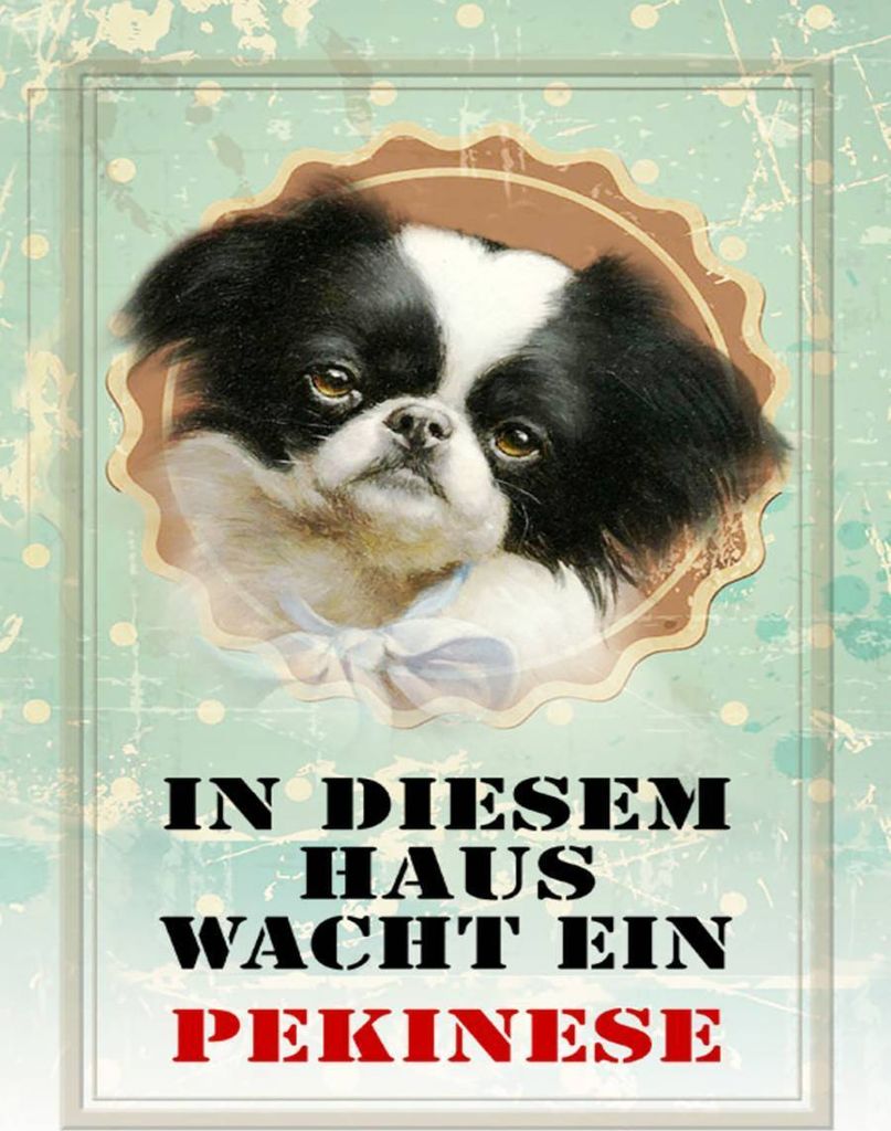 vianmo Holzschild 40x30 cm Hund in diesem Haus wacht Produktbild 