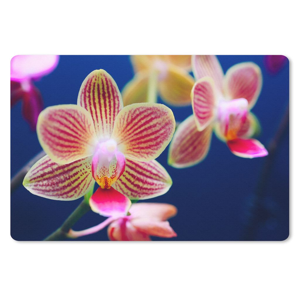 MuchoWow® Mauspad Mousepad Von Orchidee 27x18 cm - Produktbild 