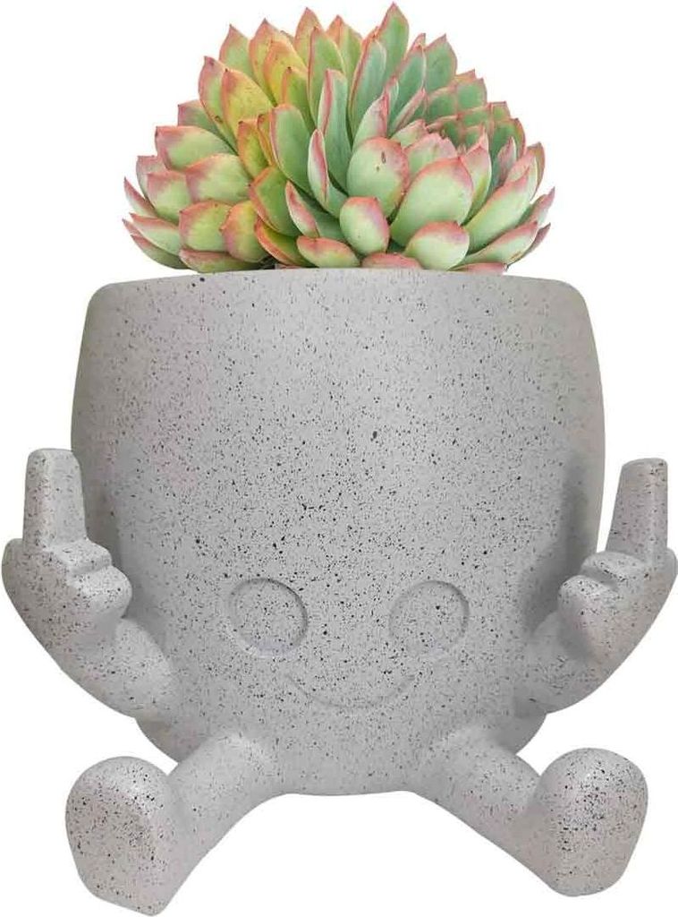 Kreativer Blumentopf mit beiden Händen, die auf den Mittelfinger zeigen, Gartenkunst, niedliche dekorative Ornamente 12×10×10cm