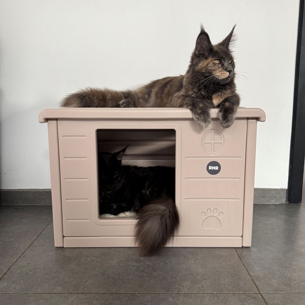 RHRQuality Katzenhaus – Villa de Luxe – Für drinnen und draußen – Wetterfest und transportabel – Mit XL-Eingang (22 x 26 cm) – Dunkelgrau