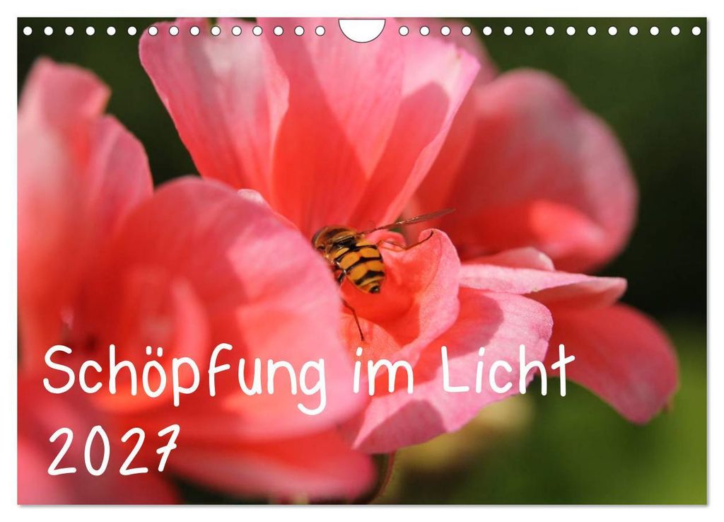 Schöpfung im Licht (Wandkalender 2027 DIN A4 quer), CALVENDO Monatskalender