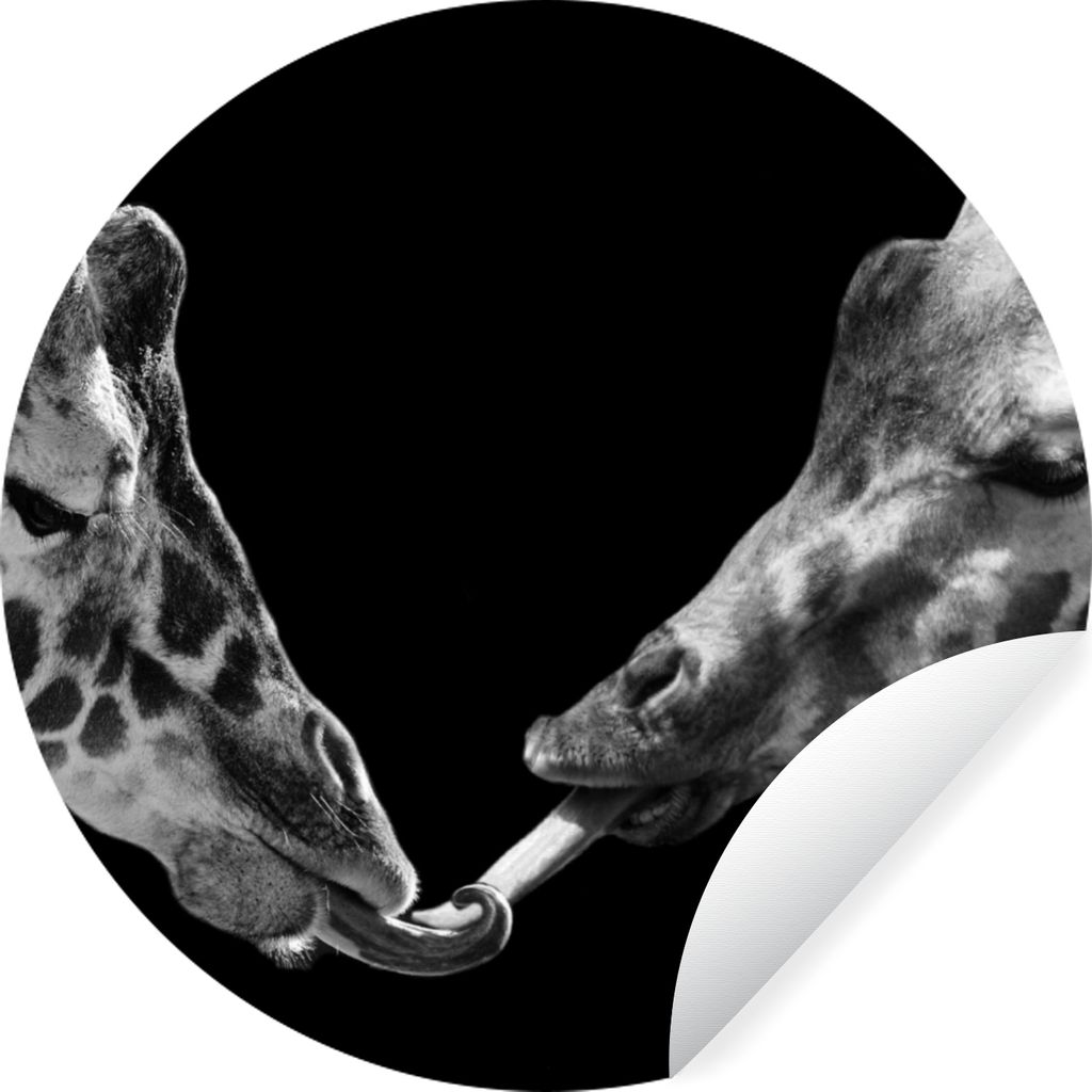 MuchoWow Runde Wandtattoo - Wandsticker Tapete Aufkleber Tiere - Schwarz - Giraffe - Weiß - Porträt Ø 30 cm Selbstklebend und Repositionierbar...