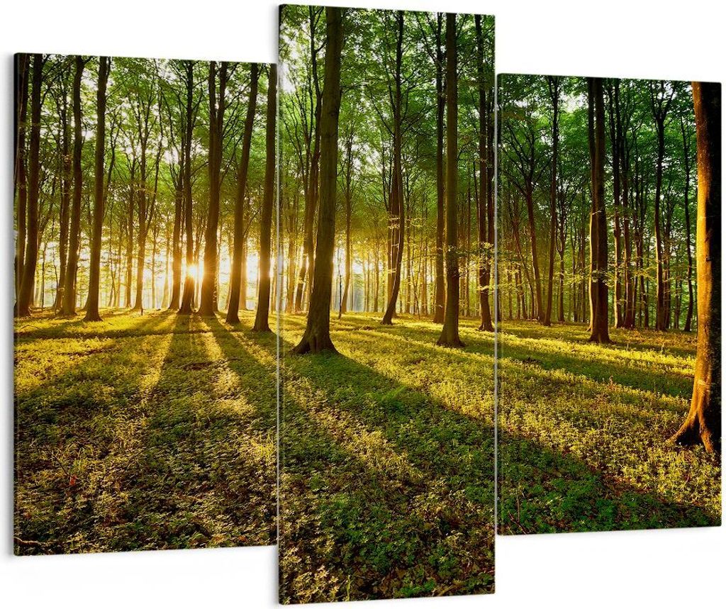 Bild auf Leinwand - Leinwandbild - Wald grün Sonnenstrahlen Natur - 130x100cm - Wand Bild - Wanddeko - Leinwanddruck - Bilder - Kunstdruck - Leinw...