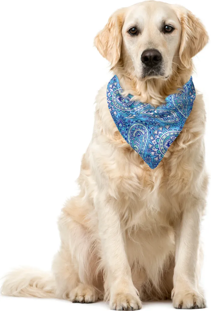 Bandana Foulard ABAKUHAUS Paisley Blu e Bianco per Animali - 55x55