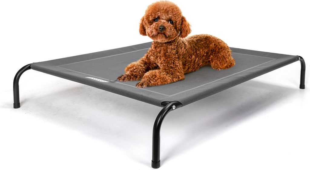 A small brown poodle-like dog lies on a raised gray pet bed with black legs.