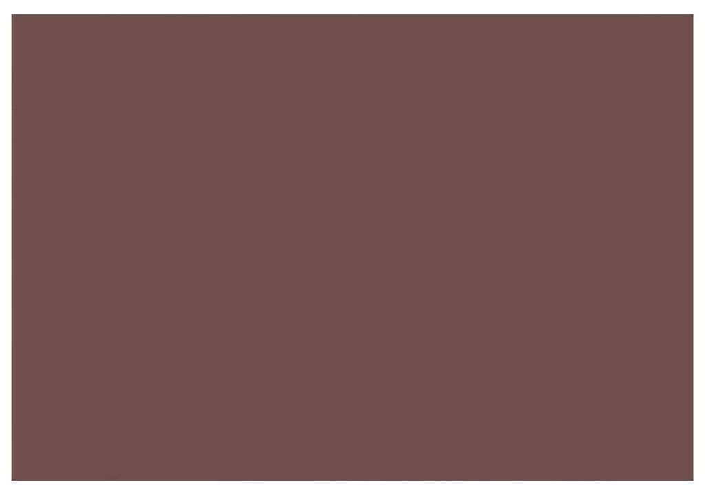 vidaXL Tissu de remplacement pour store, marron, 300 x 250 Image du produit 