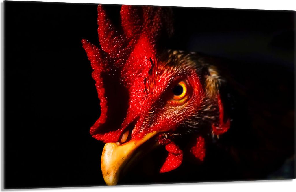 Glasschutzplatte für den Herd 80x52 Hahn