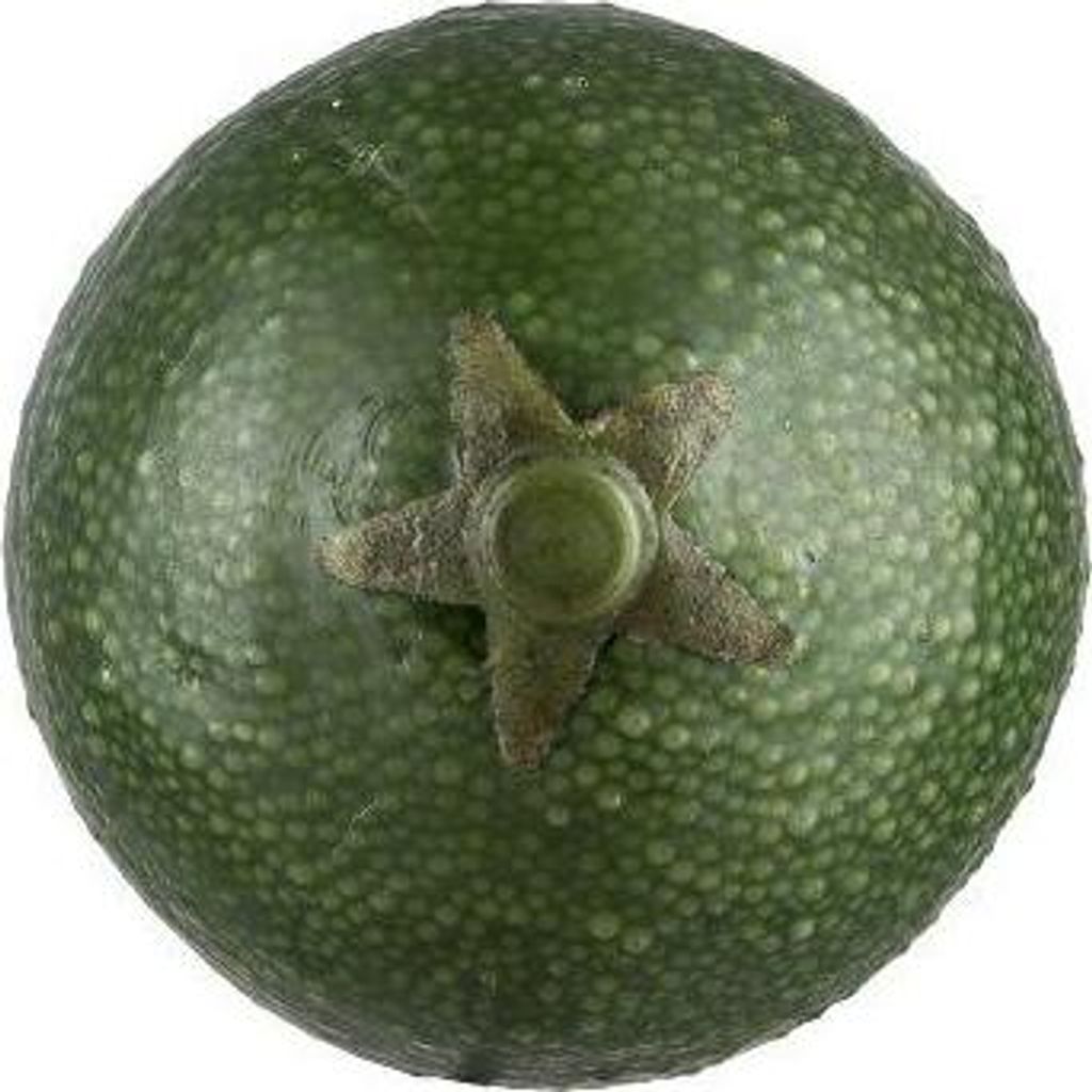 artplants.de Künstliche Limette POLASY, dunkelgrün, 4,5cm, Ø3,5cm - Dekoobst