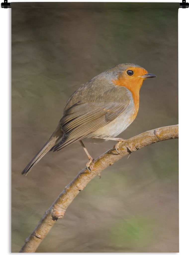 MuchoWow Wandteppich Wandbehang Rotkehlchen - Vogel - Natur 60x90 cm Tapisserie Dekoration Wandtuch - Foto-Teppich - Abwaschbar