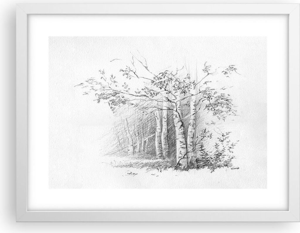 Gerahmtes Poster - Weißer Rahmen - Skizze Wald Birke - 40x30 cm - Wand Bild - Wanddeko - Wandbilder - Kunstposter - Wandposter - Bilderrahmen - Bi...