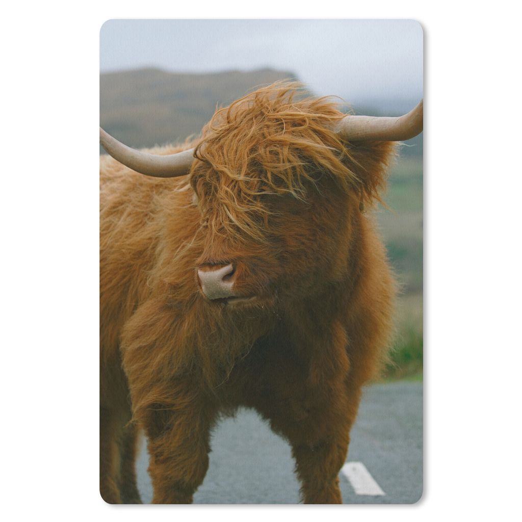 MuchoWow Mauspad Mousepad Schottischer Highlander - Berg - Straße 18x27 cm - Mousepads - Maus Mat - Pad - Mausunterlage