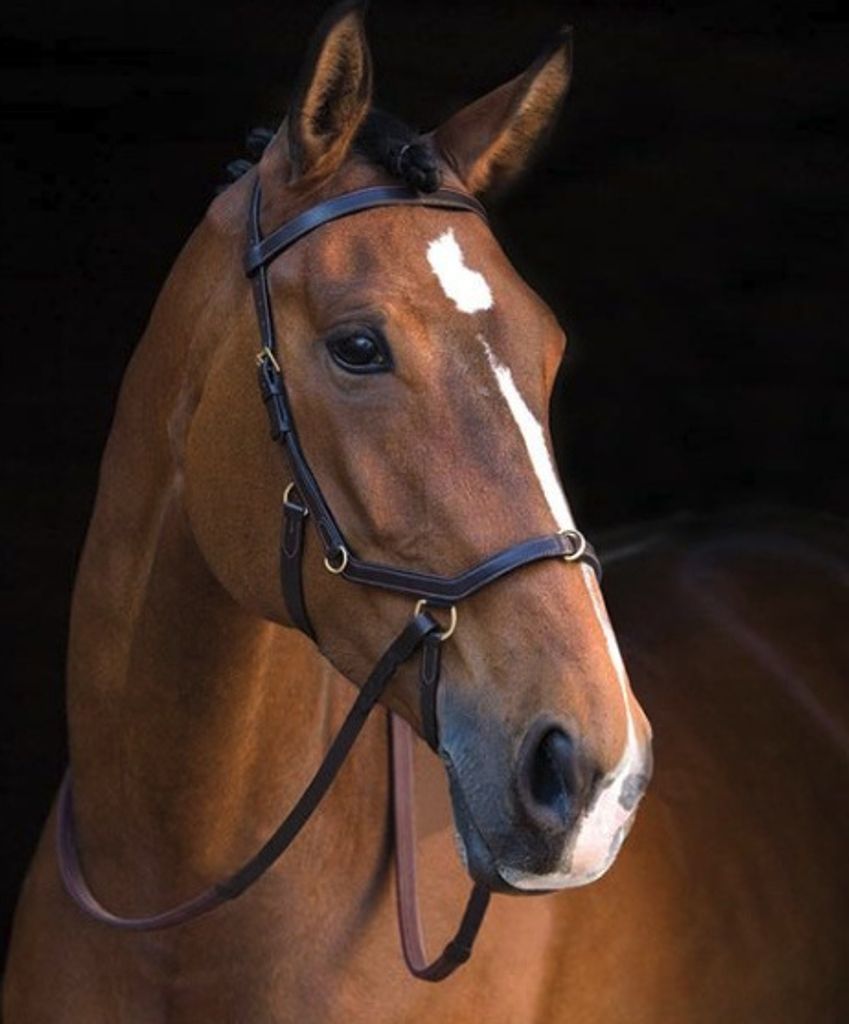 Horseware Ireland Zaum Micklem Rambo Multibridle Trense Produktbild 5