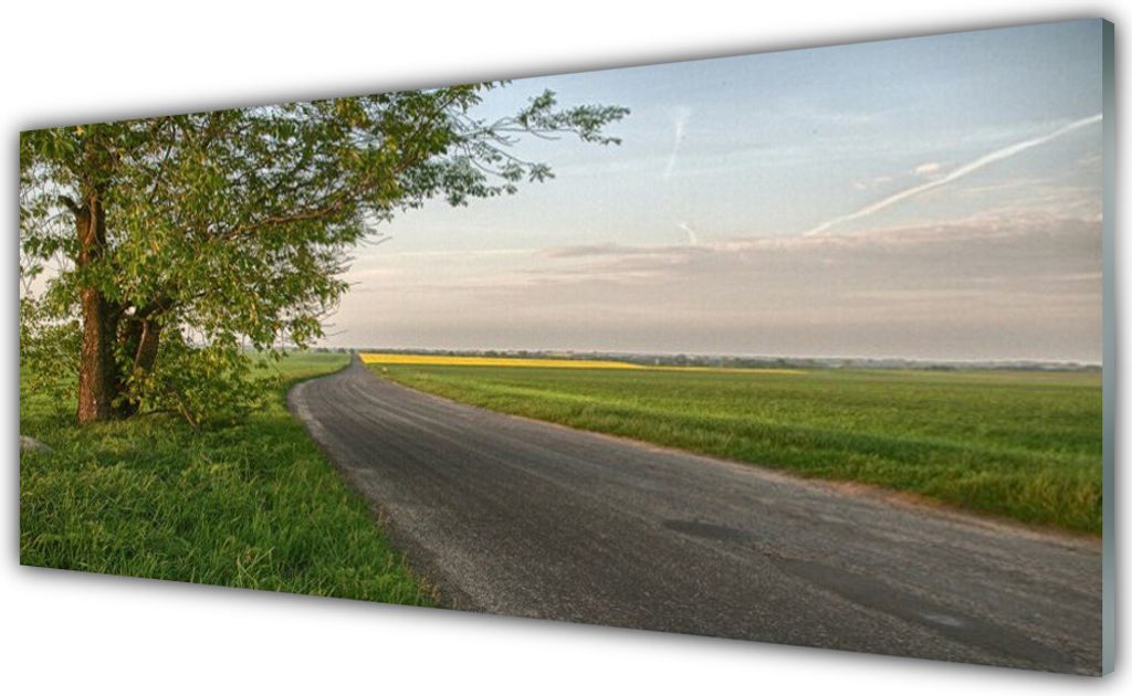 Glasbilder 125x50 Wandbild Druck auf Glas Straße Baum Gras Landschaft