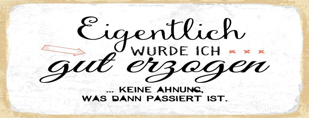 vianmo Blechschild 10x27 cm Eigentlich wurde ich gut erzogen