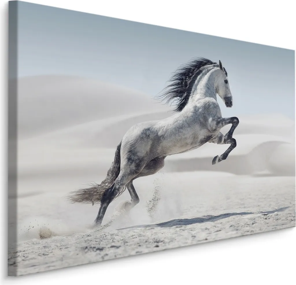 Favolosa tela SCREEN PICTURE 70x50 cm XXL stampa d'arte animali cavallo natura deserto
