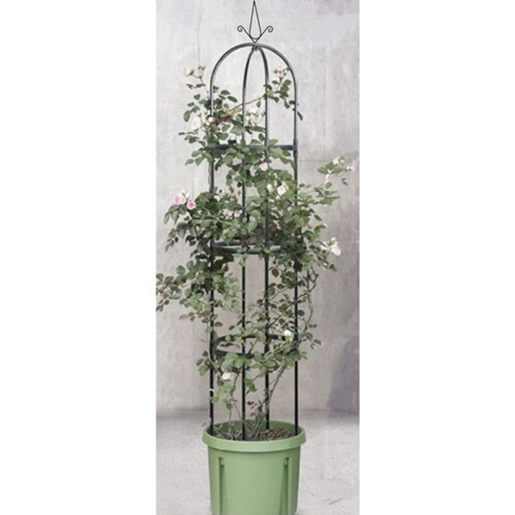 Gardlov 21029 Oblouk na květiny 16657 Obrázek produktu 5