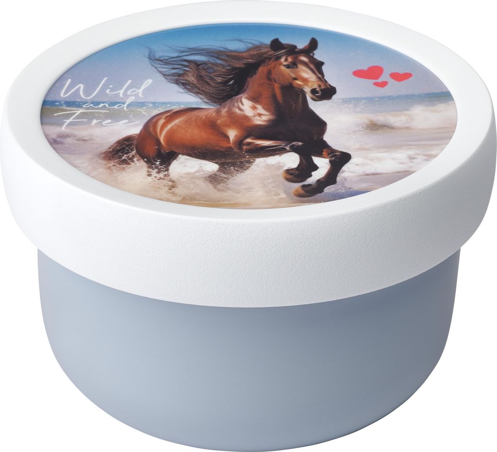 Mepal fruchtbox campus 300 ml - Wild Horse Image du produit 