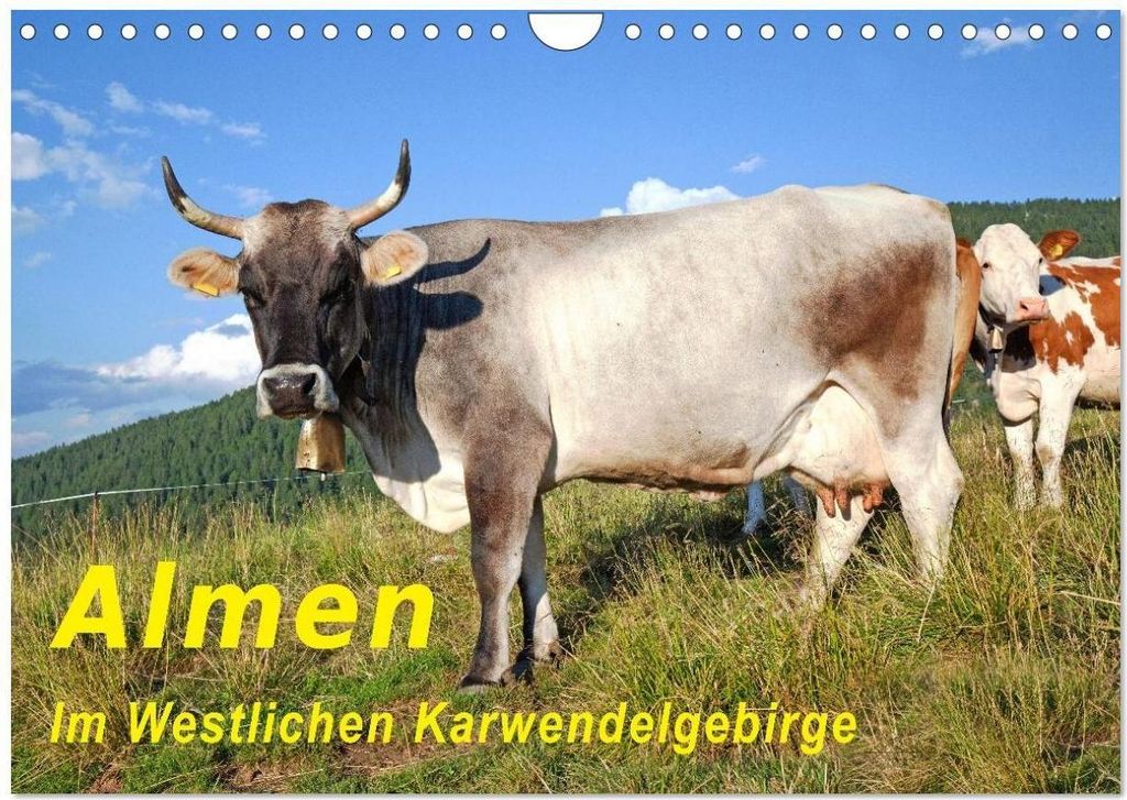Almen im Westlichen Karwendelgebirge (Wandkalender 2026 DIN A4 quer), CALVENDO Monatskalender