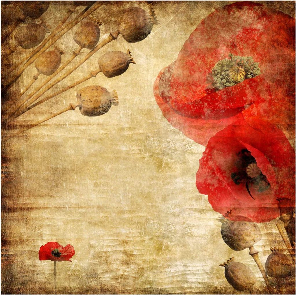 Fototapete Blumen - Vliestapete - Bildtapete UV-beständig Mohnblume rot Vintage Wandtapete geruchsfrei