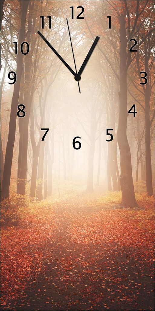 Wallario Design Wanduhr bedruckt, Größe 30 x 60 cm, Motiv: Herbstwald - Weg zu einer Lichtung im Wald