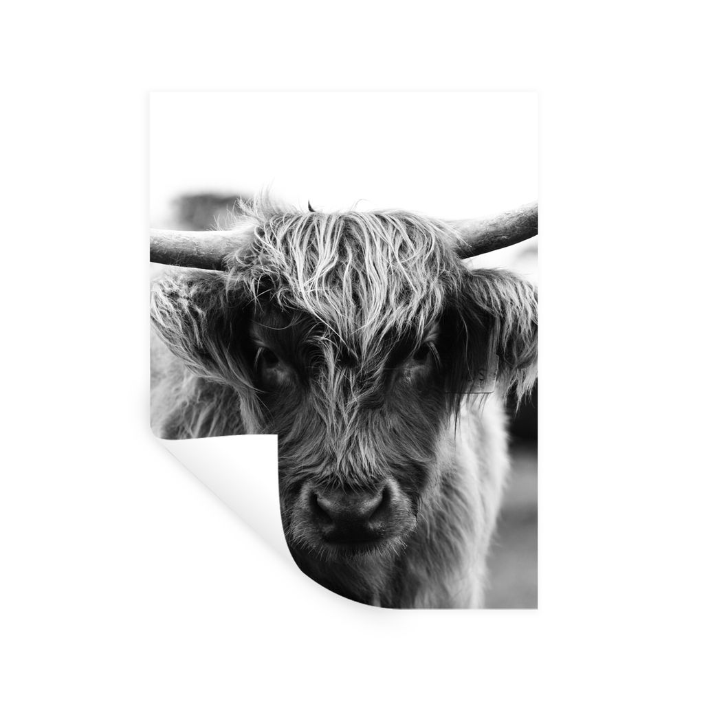 MuchoWow Wandtattoo Wandsticker Wandaufkleber Schottischer Highlander - Kuh - Gras - Tiere - Natur 120x160 cm Selbstklebend und Repositionierbar ...