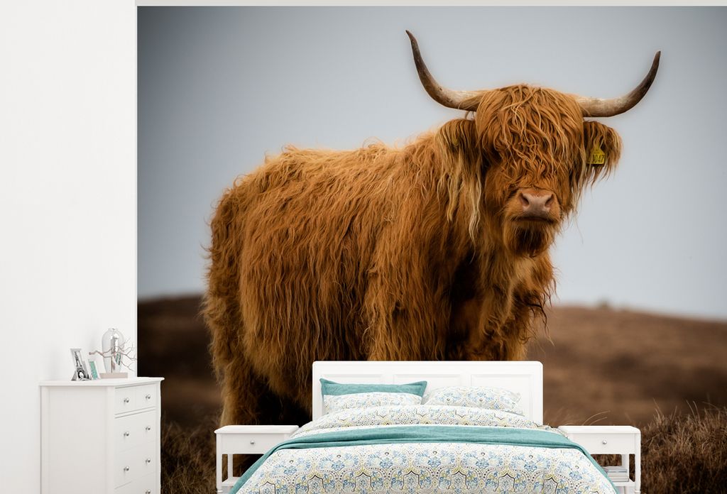MuchoWow Fototapete für Wohnzimmer oder Schlafzimmer Wandtapete Vinyl Motivtapete Schottischer Highlander - Düne - Gras - 325x260 cm - Tapete
