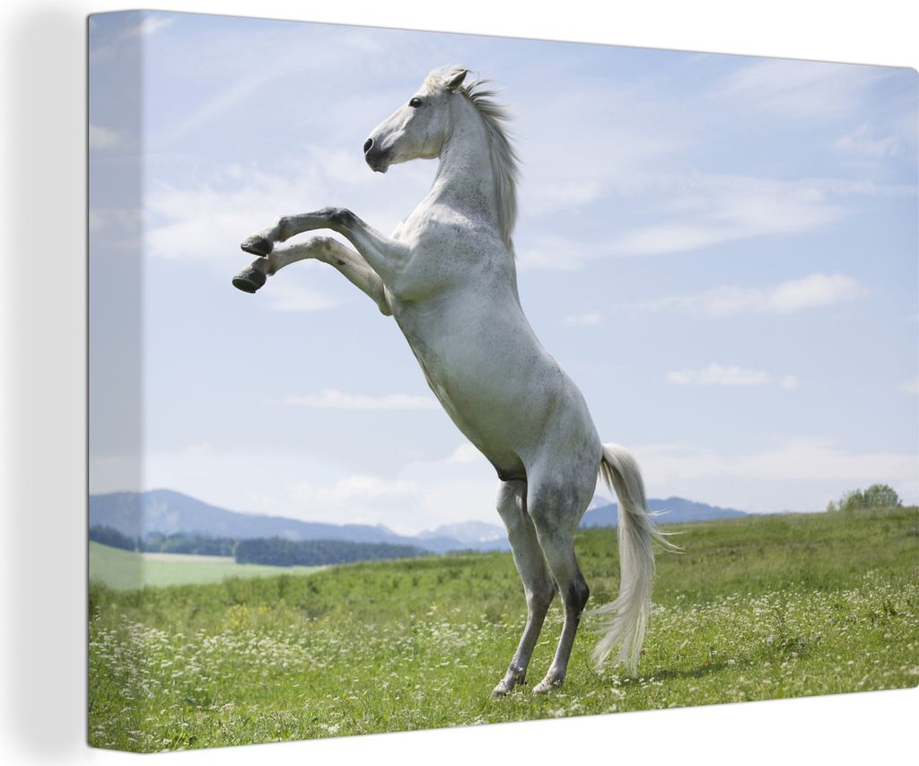 OneMillionCanvasses - Leinwandbilder - 140x90 cm, Pferd - Aufzucht - Natur, Wandbilder Kunstdruck Wanddekoration - Foto auf Leinwand - Gemälde a...
