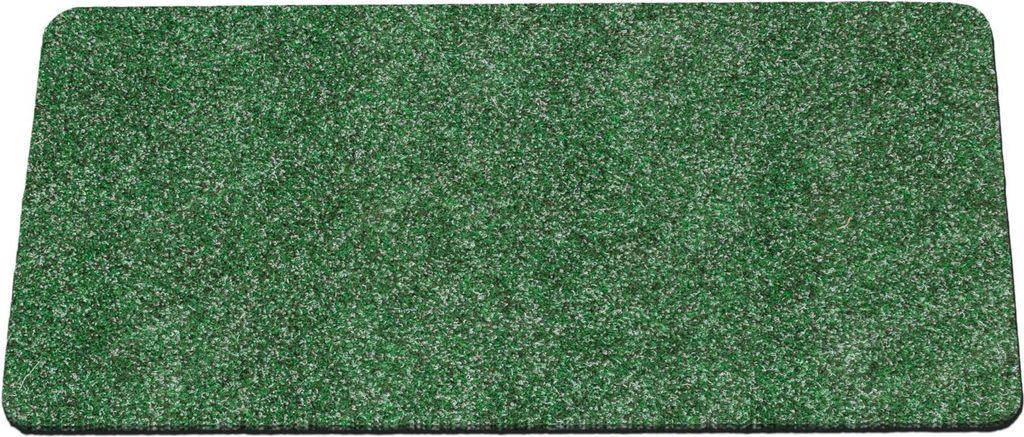 Fußmatte Türvorleger Schmurzfangmatte POET 40x80cm Kräusel Grün Robust Wasserabweisend
