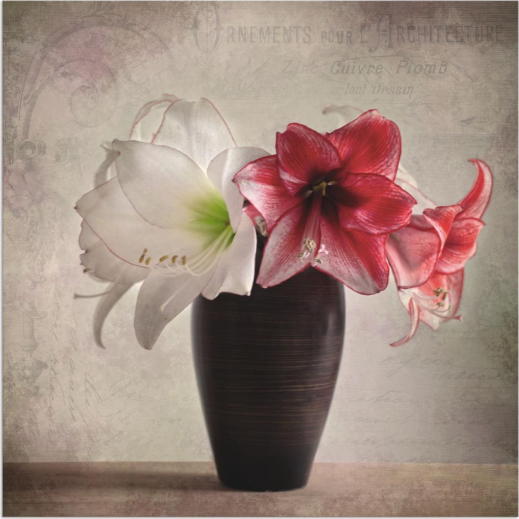 ARTland Wandbild Alu für Innen & Outdoor Amaryllis Vintage I Größe: 30x30 cm