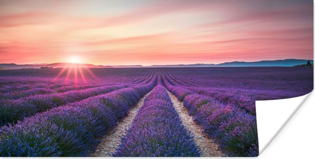 MuchoWow Poster Lavendel - Lila - Blumen - Himmel 160x80 cm - Foto Poster