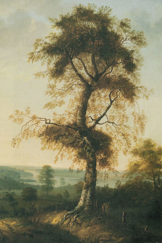 Johan Christian Dahl Kunstdruck Bild - Birke In Herbstlandschaft (180 x 120 cm)