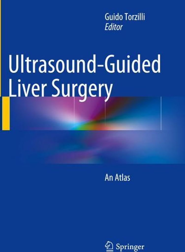 Ultrasound-Guided Liver Surgery