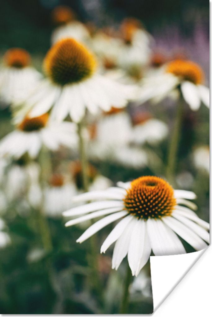 MuchoWow Poster Blumen - Herbst - Botanisch 80x120 cm - Papierdruck