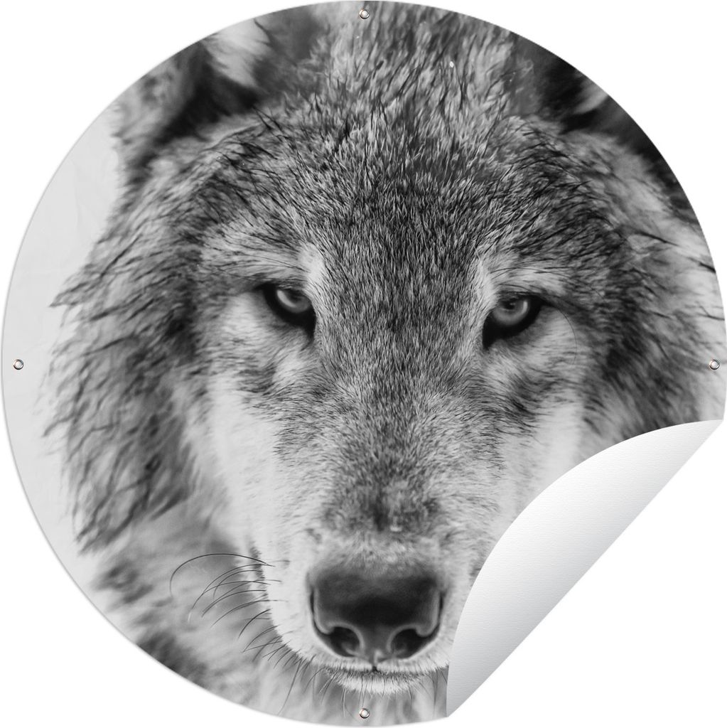 MuchoWow Gartenposter Outdoor-Poster Rund Wolf im Winter in Schwarz und Weiß Ø 90 cm Gartendeko Rundes Poster draußen