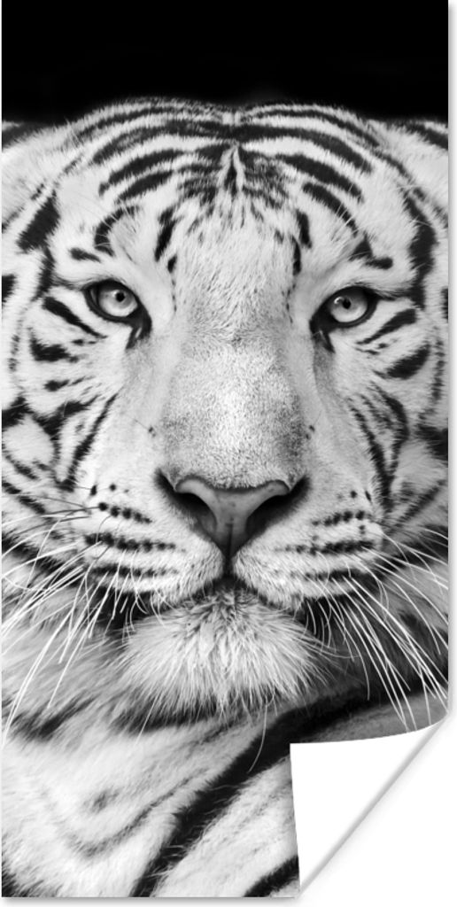 MuchoWow Poster Tiger - Schwarz - Weiß - Porträt - Tiere 75x150 cm - Dekoration für die Wände
