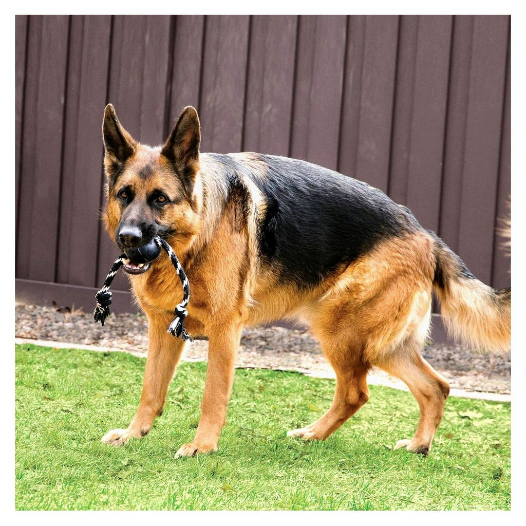 Extremer Ball mit Seil - robustes Hundespielzeug aus Naturkautschuk mit Seil für einfaches Werfen - für große Hunde, schwarz