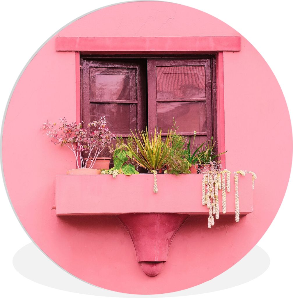 MuchoWow Rundes Wandbild - Runde Bilder Fenster - Pflanzen - Rosa - Pflanzgefäß Ø 90 cm Kreis Wanddekoration Kunststoff - Wandkreis - Wandschm...