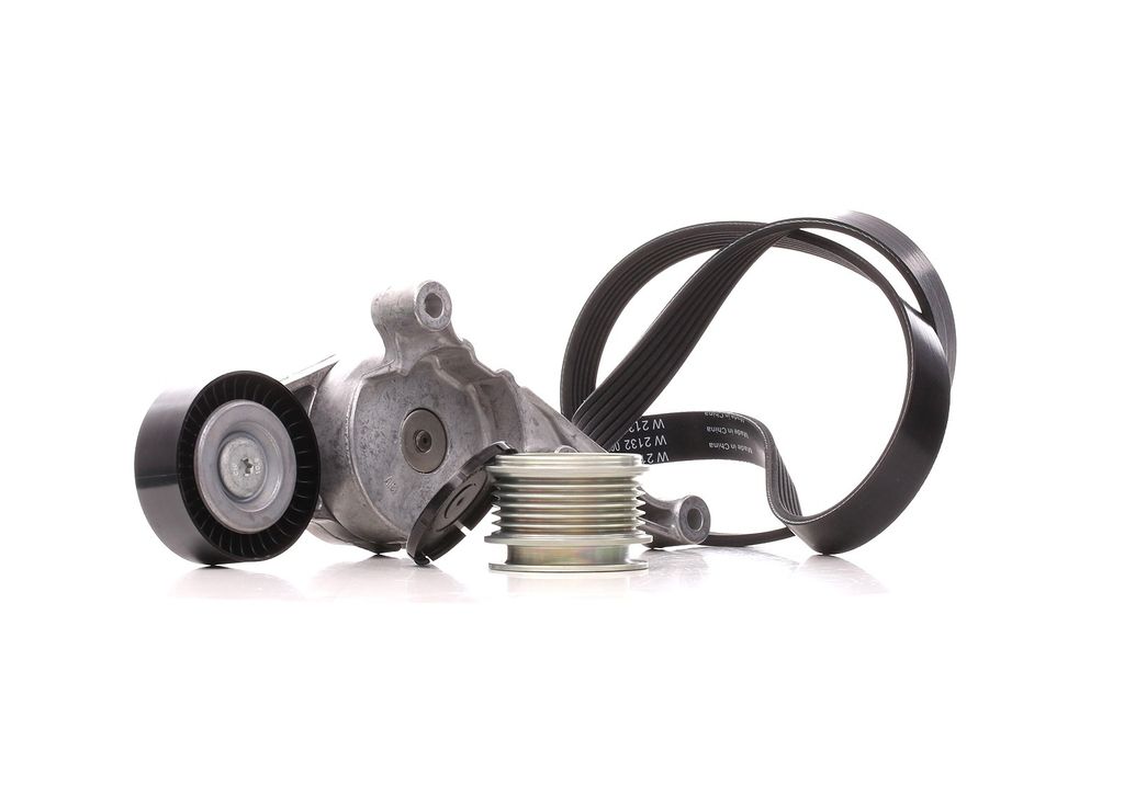INA 529 0469 20 Keilrippenriemensatz für VW Golf V Produktbild 
