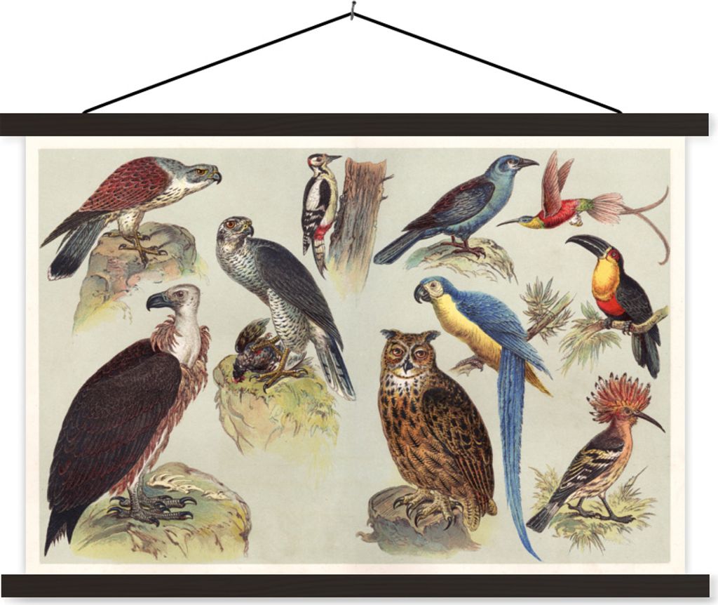MuchoWow Textilposter Vogel - Vintage - Bleistift - Zeichnung 150x100 cm mit schwarzem Rahmen - Schlafzimmer