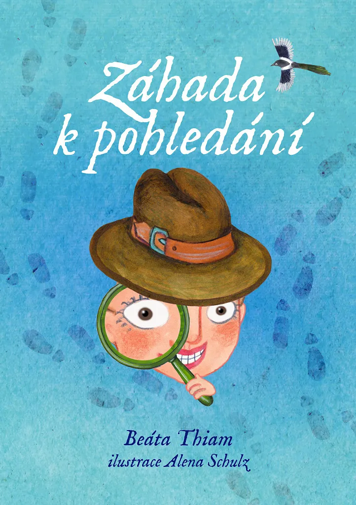 Roman de Mystère Záhada k pohledání - Littérature Contemporaine Beáta Thiam