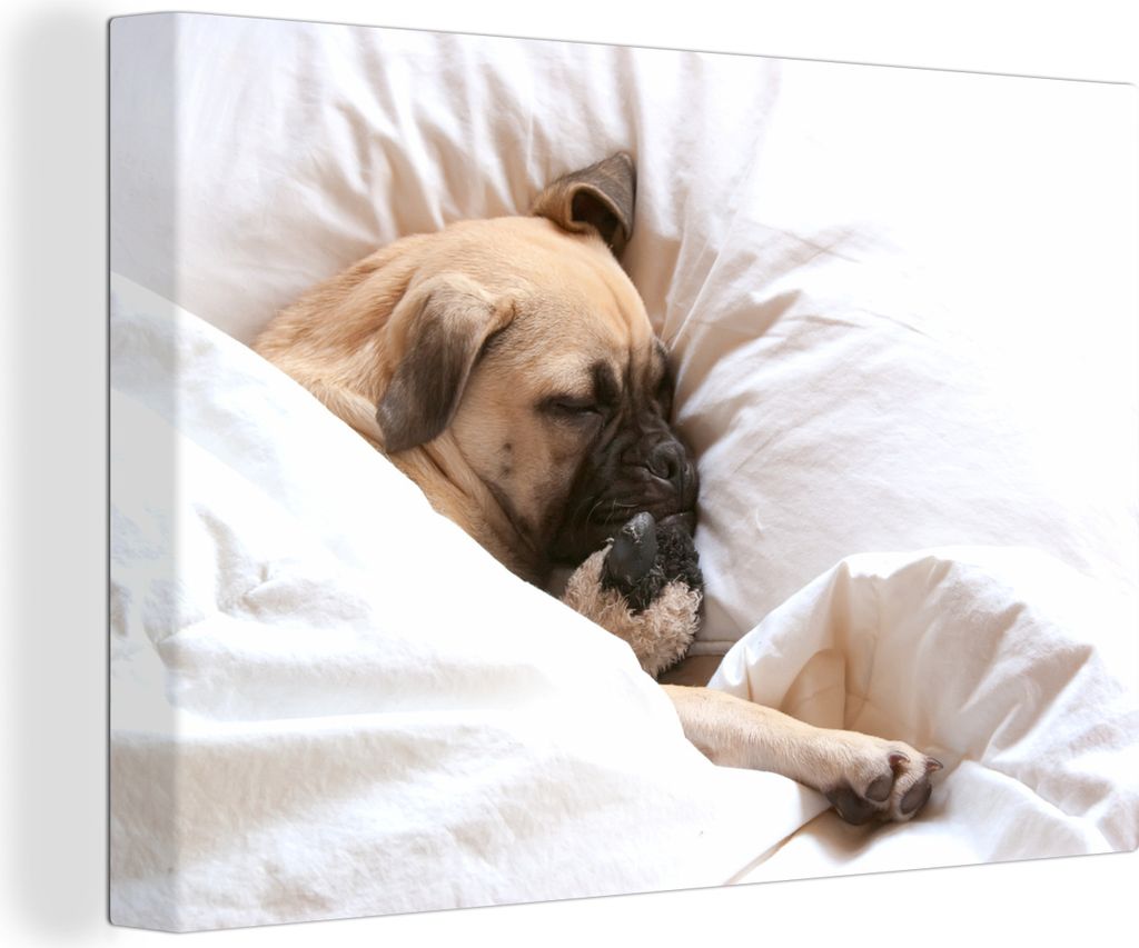 OneMillionCanvasses - Leinwandbilder - 140x90 cm, Hund schläft im Bett mit einem Kuscheltier, Wandbilder Kunstdruck Wanddekoration