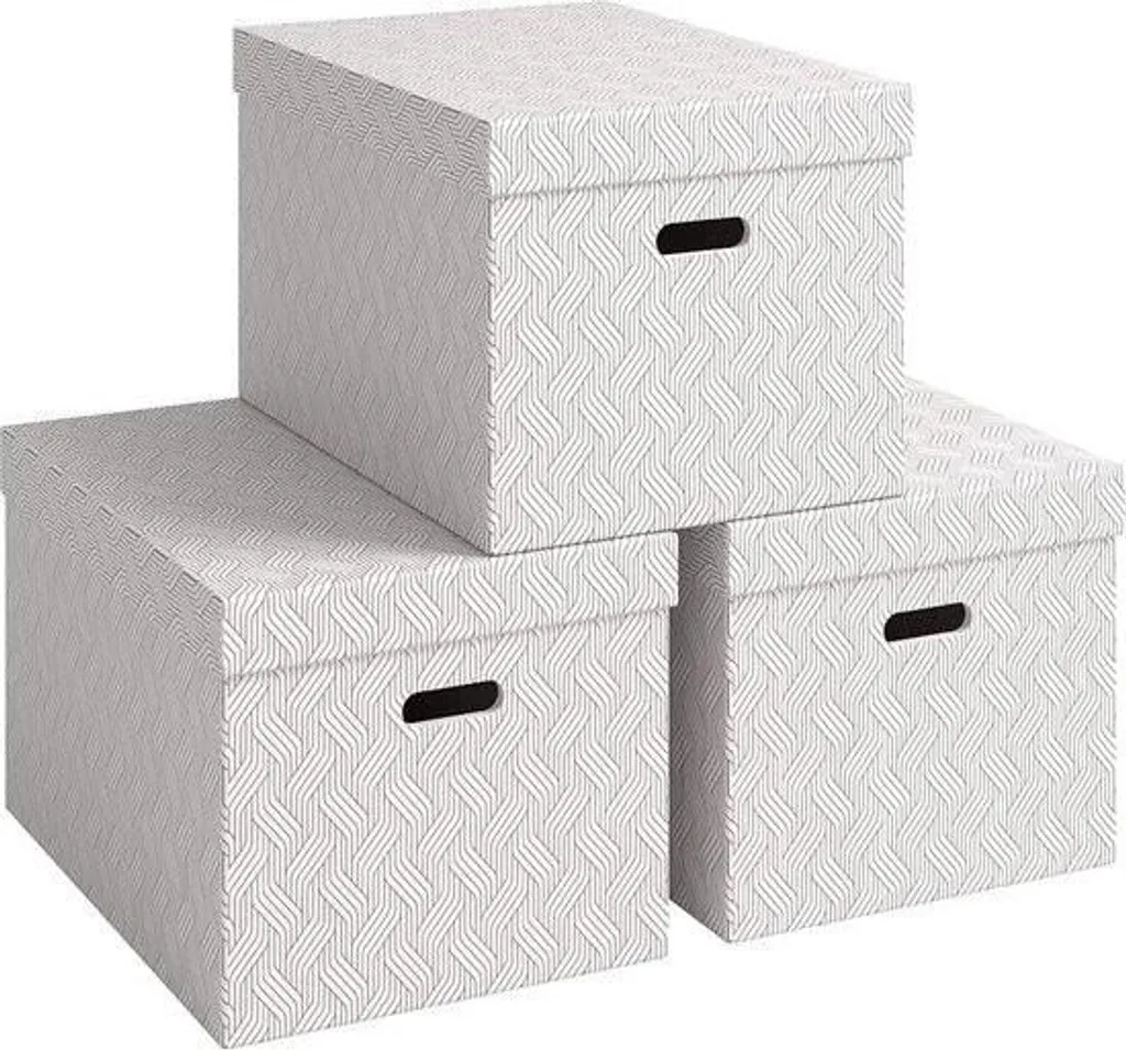 Boîtes Rangement Leitz XL pour Archives Maison et Études Blanc 46L