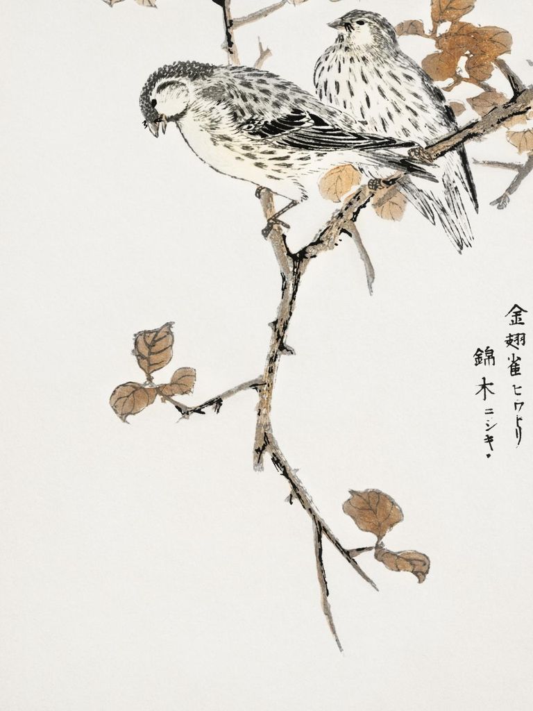 Plakat 30x40cm Siskin und Euonymus Alata, Kashu Vintage für das Wohnzimmer