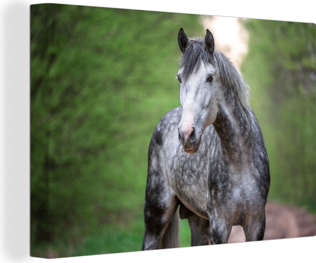 OneMillionCanvasses - Leinwandbilder - 150x100 cm, Pferd - Wald - Porträt, Wandbilder Kunstdruck Wanddekoration