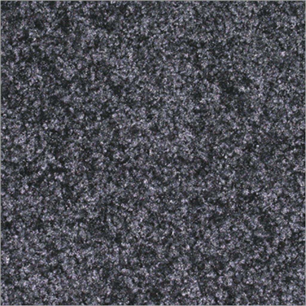 Schmutzfangmatte EAZYCARE, Polyamid, Grau, 400x600 mm