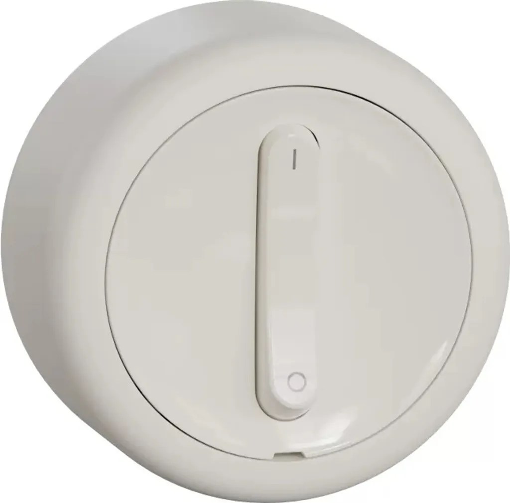 Schneider Electric WDE015807 Cedar Plus Prise de Courant 2P+T Grise