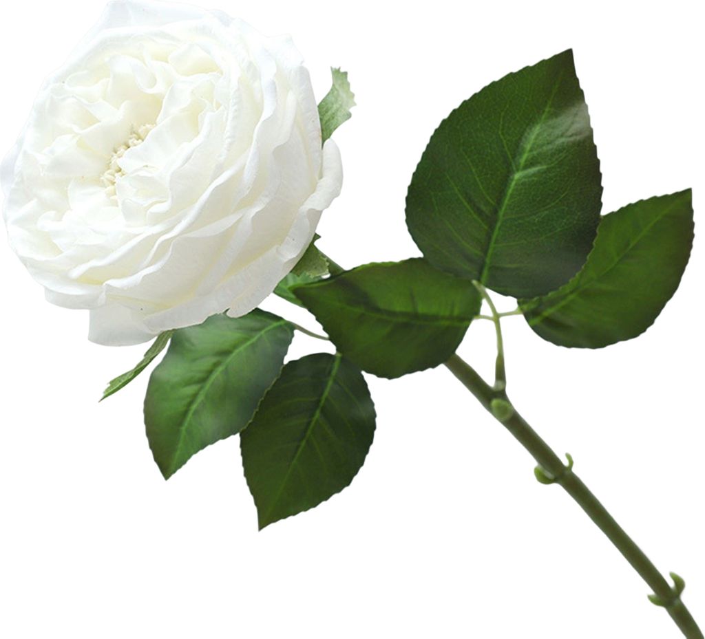 Einzelzweig künstliche Blume realistisch ohne Bewässerung nicht verblassender Foto Requisiten Ins Stil echter Berührung Imitation Rose für Hoch...