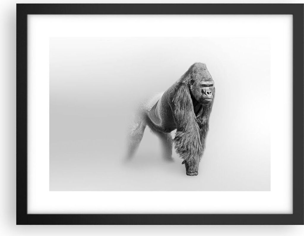 Gerahmtes Poster - Schwarzer Rahmen - Orang-Utan Tier - 40x30 cm - Wand Bild - Wanddeko - Wandbilder - Kunstposter - Wandposter - Bilderrahmen - Bi...