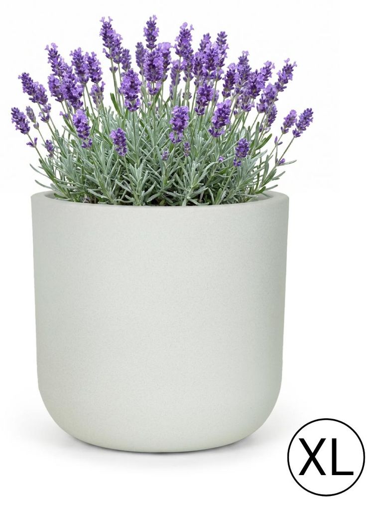 Květináč na Zahradu Terasu Balkon do Domu Mazovia Obrázek produktu 